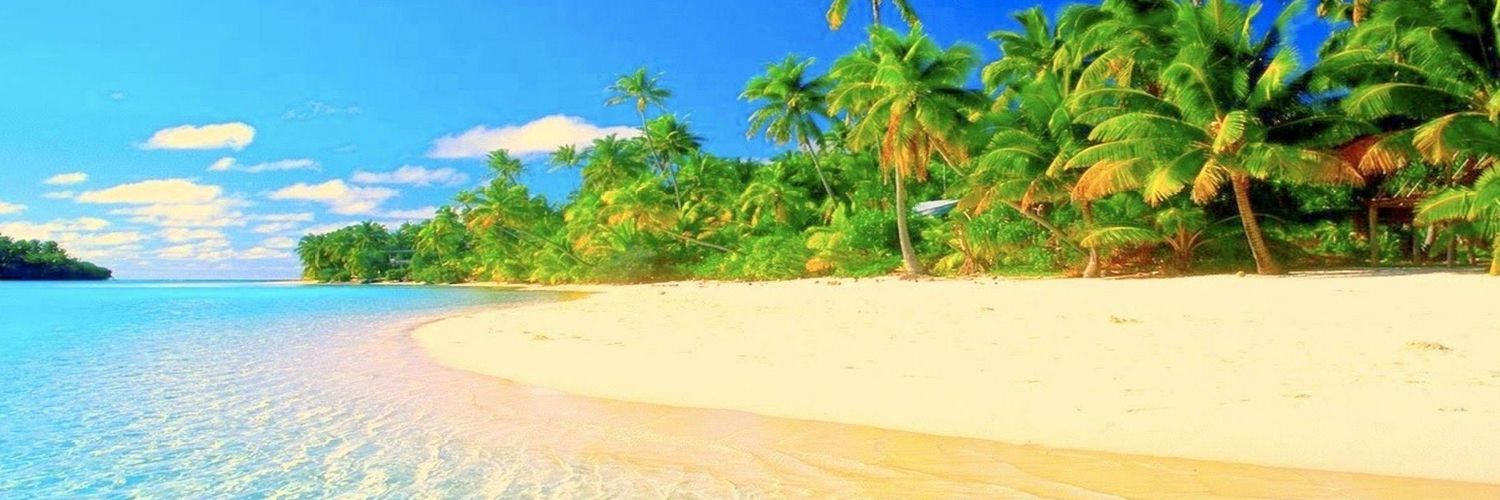 PufferFishX1000's profile banner image