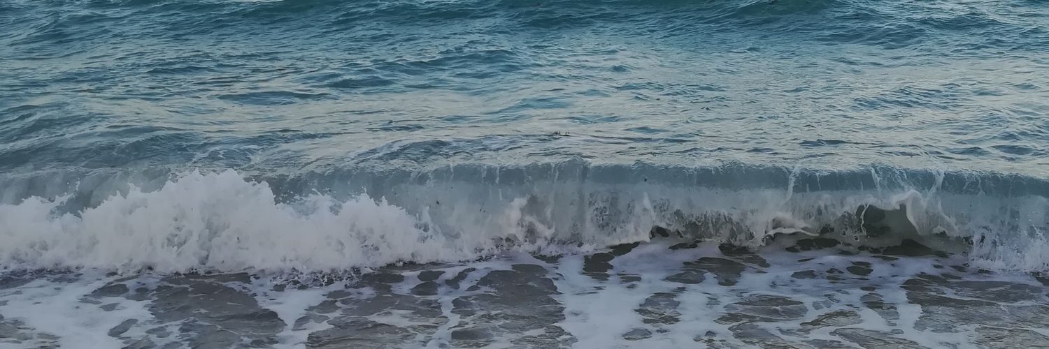 Caroline_1708's profile banner image