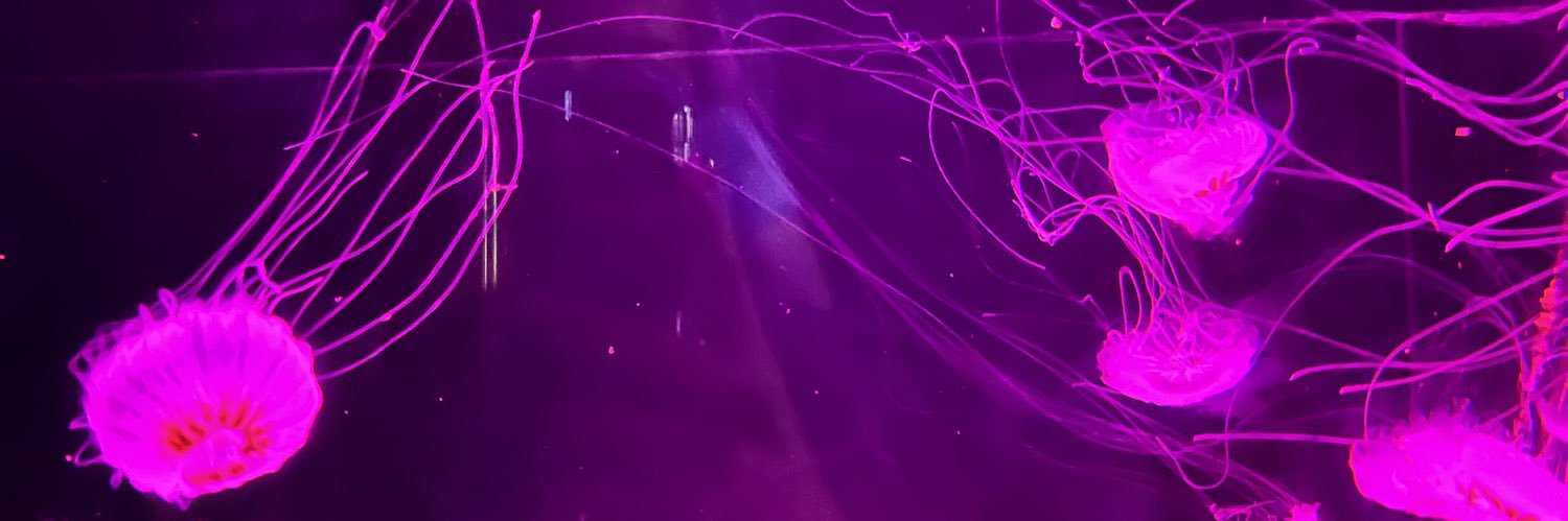aidarochin's profile banner image