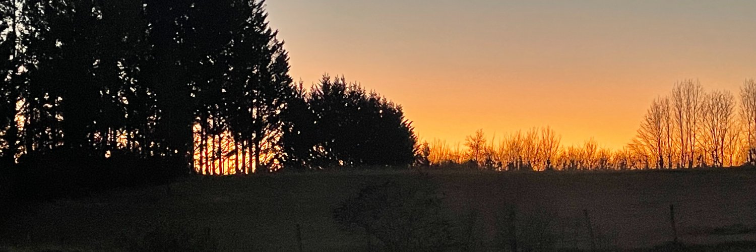 Patibul's profile banner image
