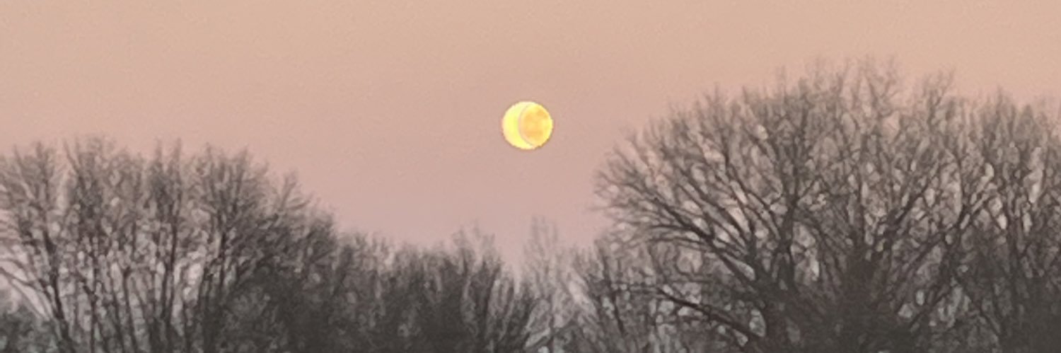 miyawinter_'s profile banner image