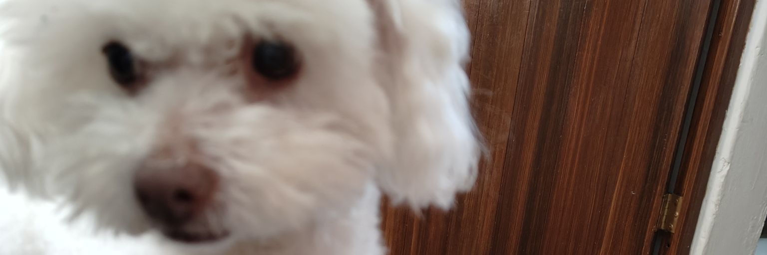 jonigna8305's profile banner image