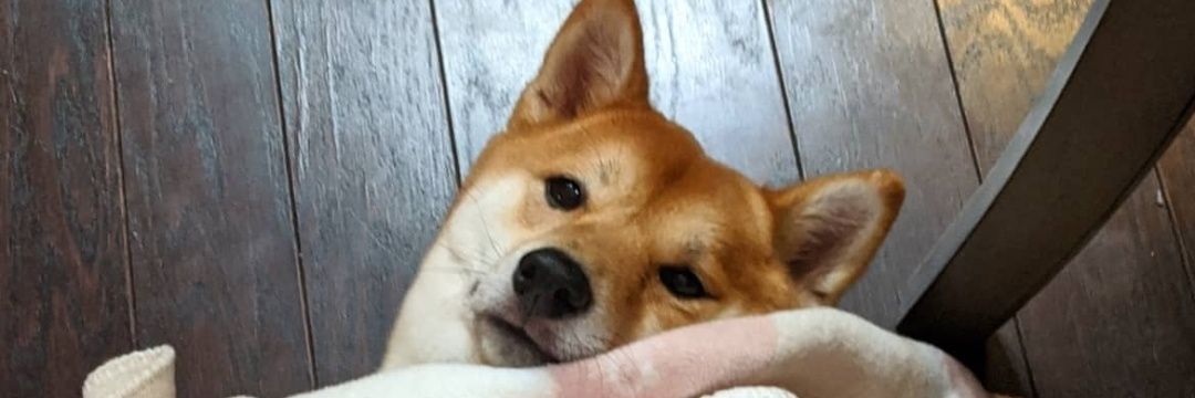 crispecomic4's profile banner image