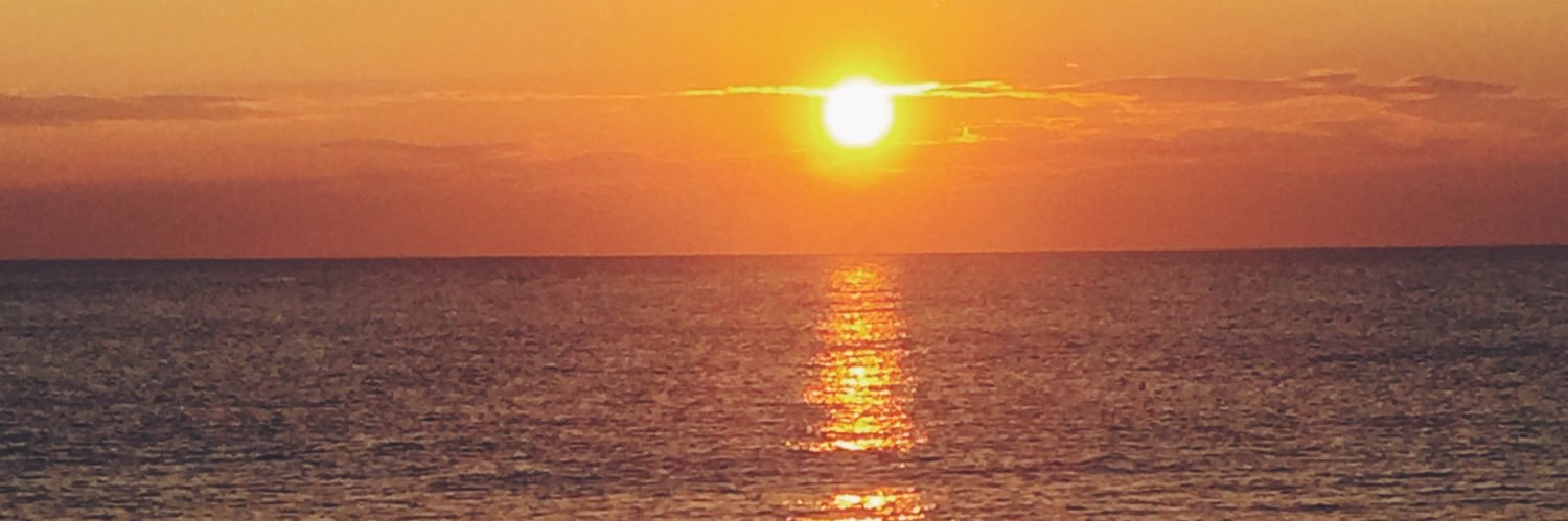 peyton1241's profile banner image