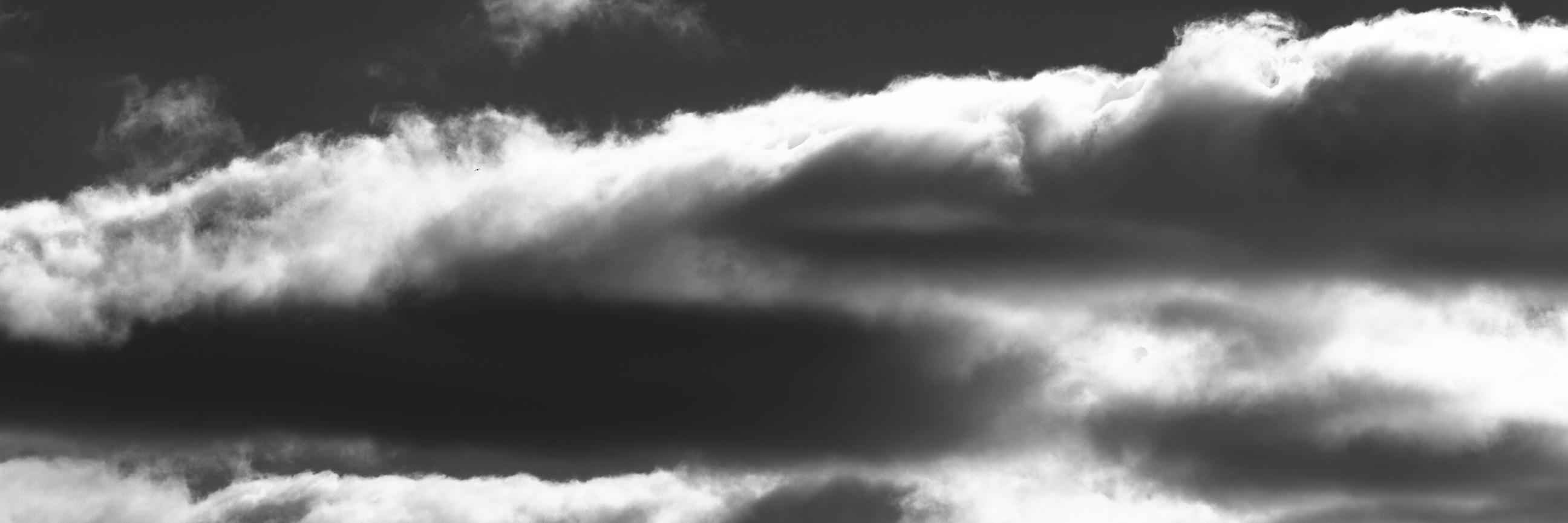 MsPayne05's profile banner image