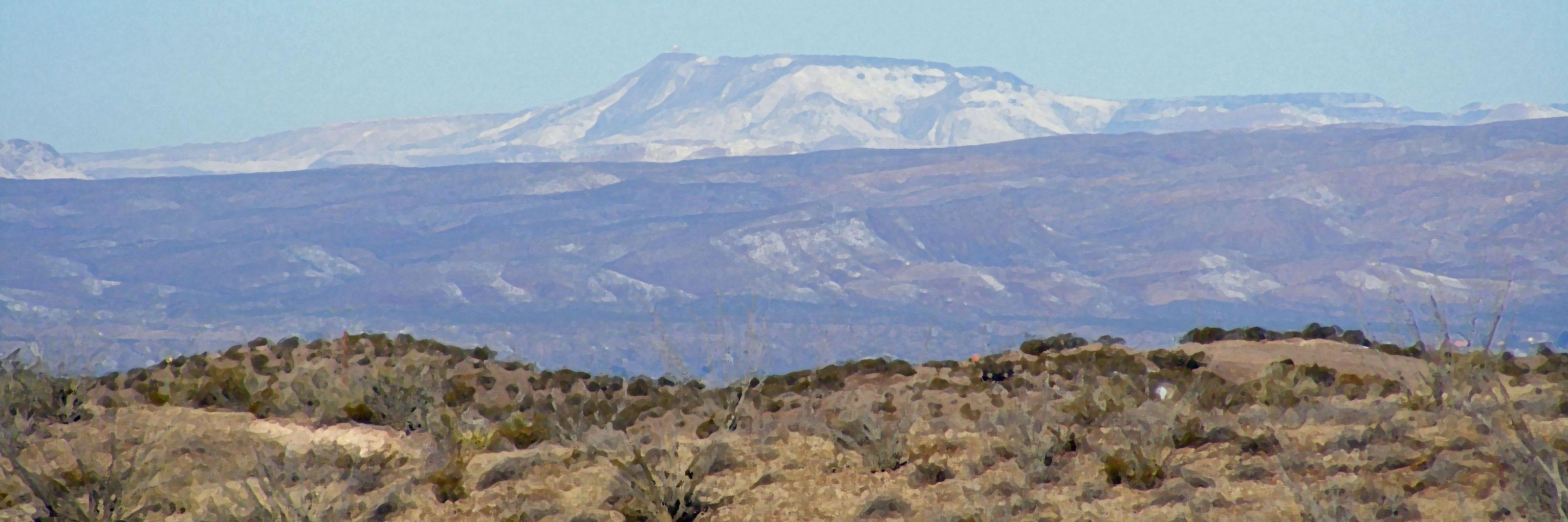 Robert P. Rowley's banner