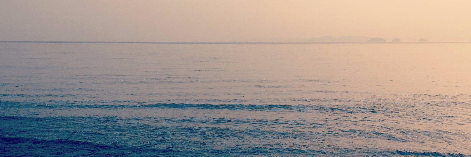 rhiacarroll's profile banner image