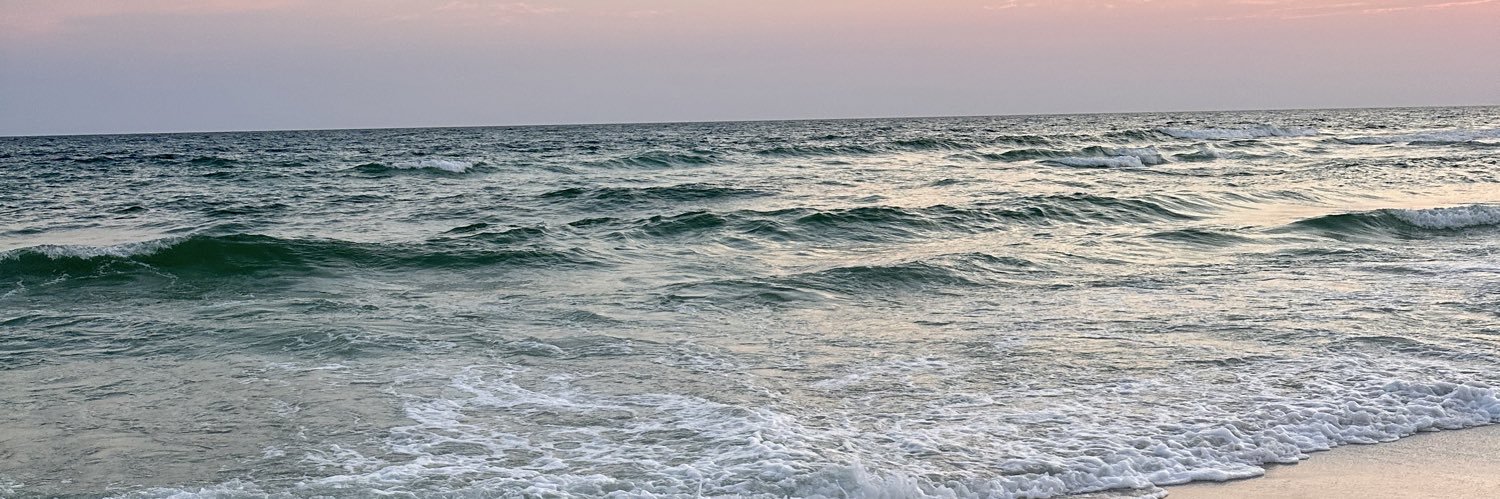 lanieeeroseee's profile banner image