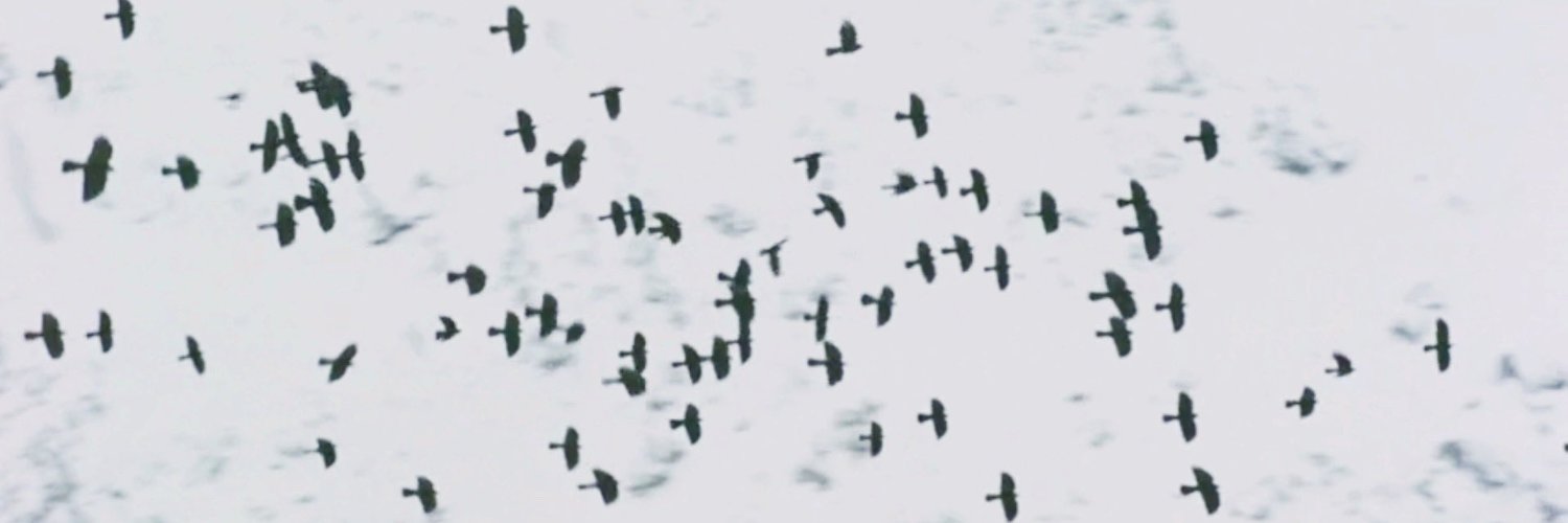 DeiRap1's profile banner image