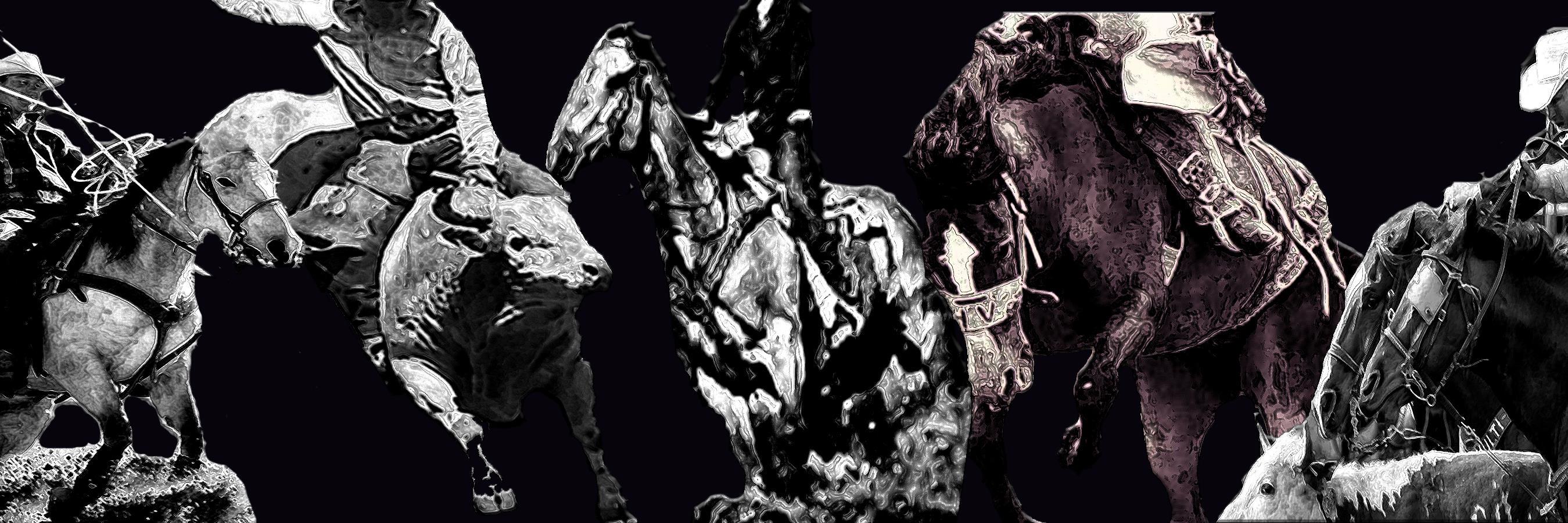 RodeoRelations's profile banner image
