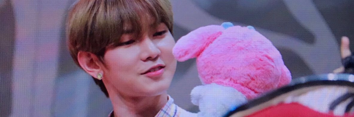 🌼 banner