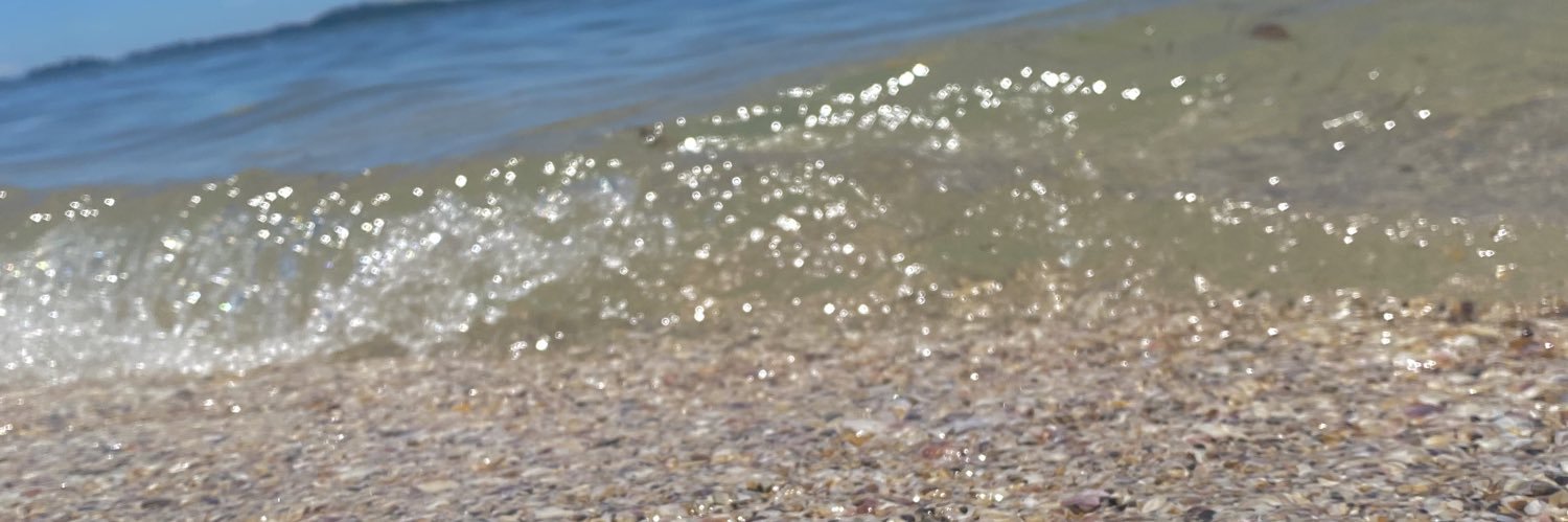 laycoca_'s profile banner image