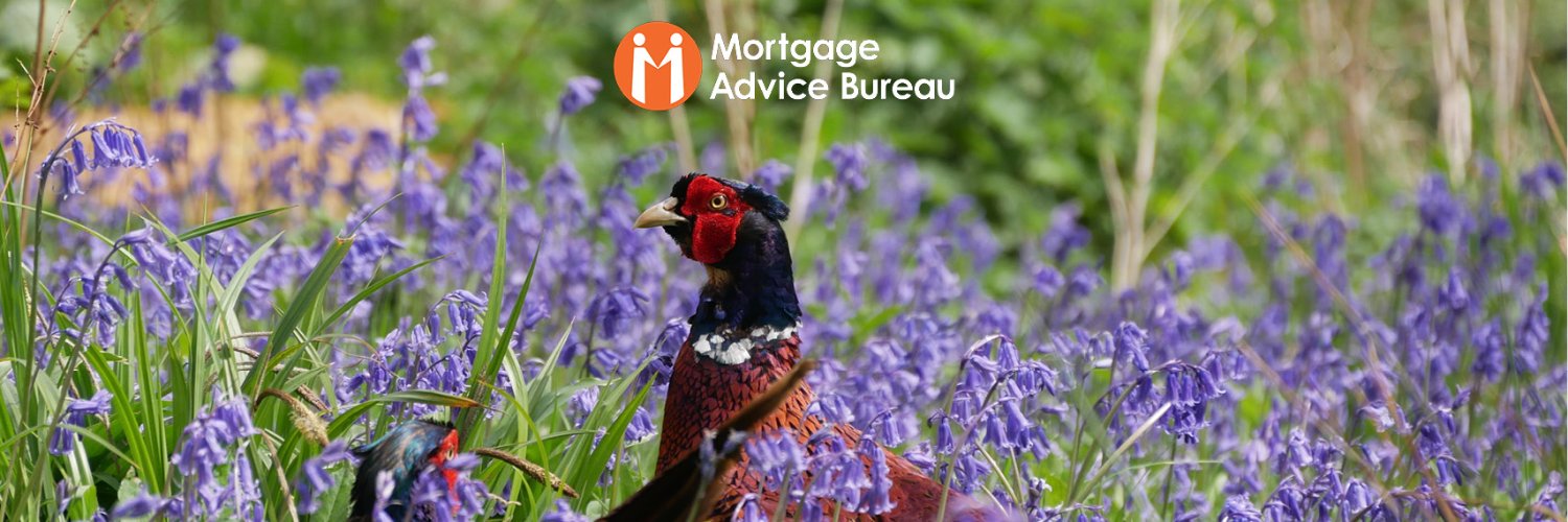 MAB Network Partner banner