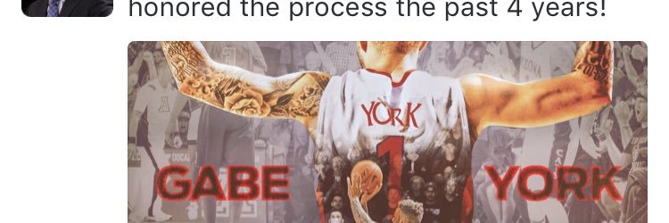 Next Level Training banner