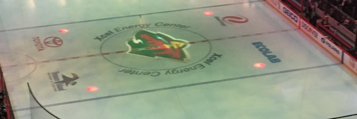 mnwild4lifedfs's profile banner image
