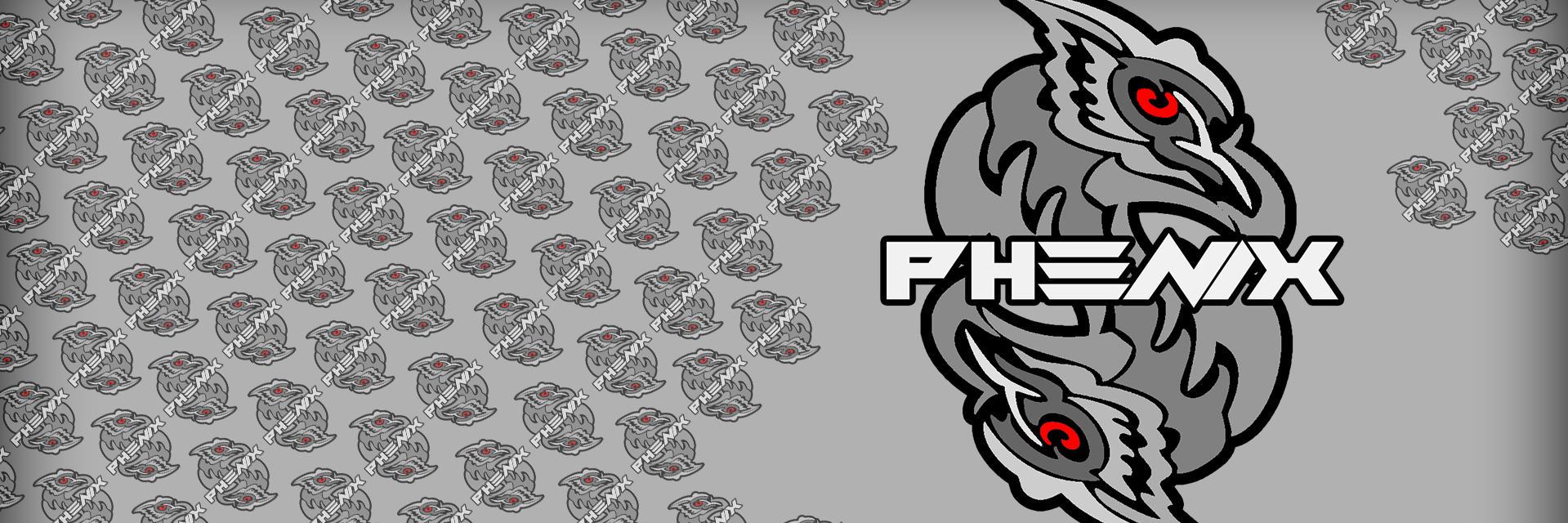 phenixesports's profile banner image