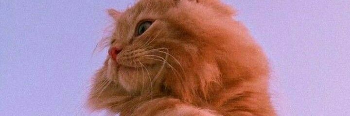 deliciouslysad's profile banner image