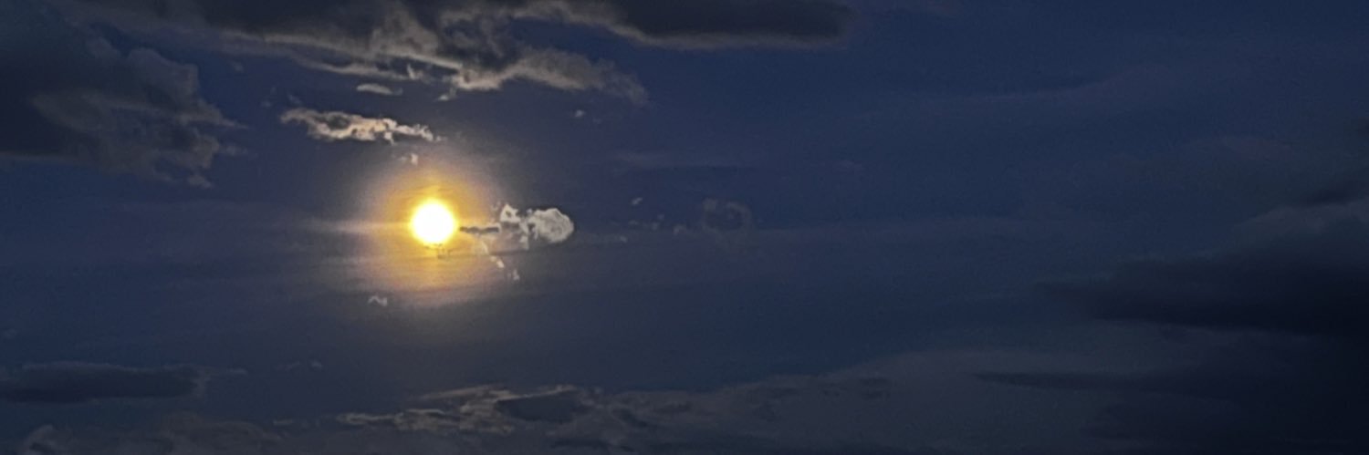 Oski_RC's profile banner image
