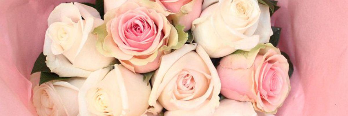 Riastanning's profile banner image