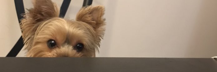 RobbieMac15's profile banner image