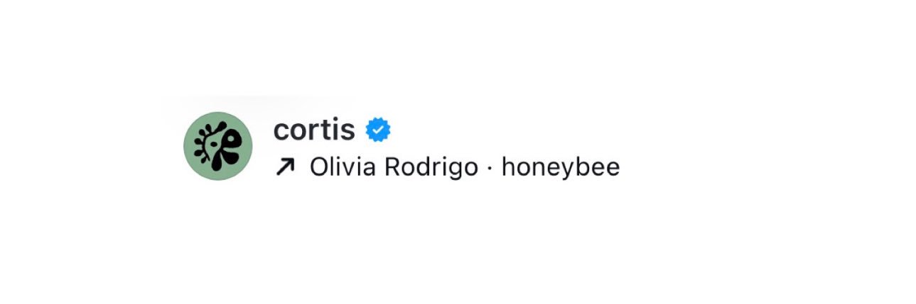 polly 🍏 banner