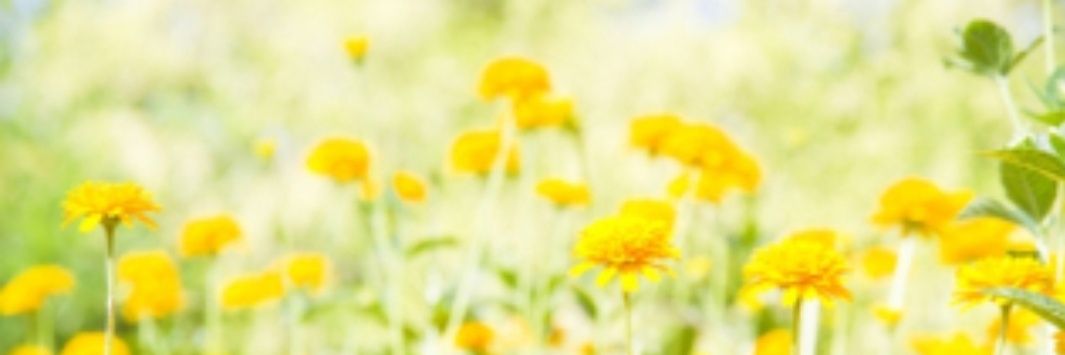 TomokoAsou's profile banner image