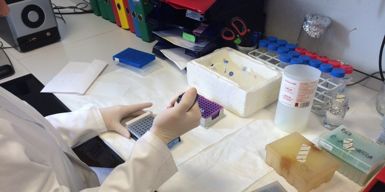 Jorge Laborda banner