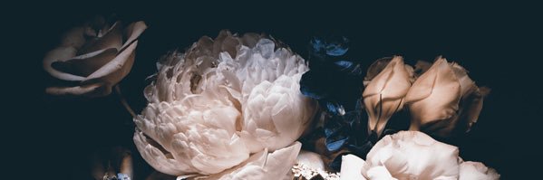 littlething18's profile banner image
