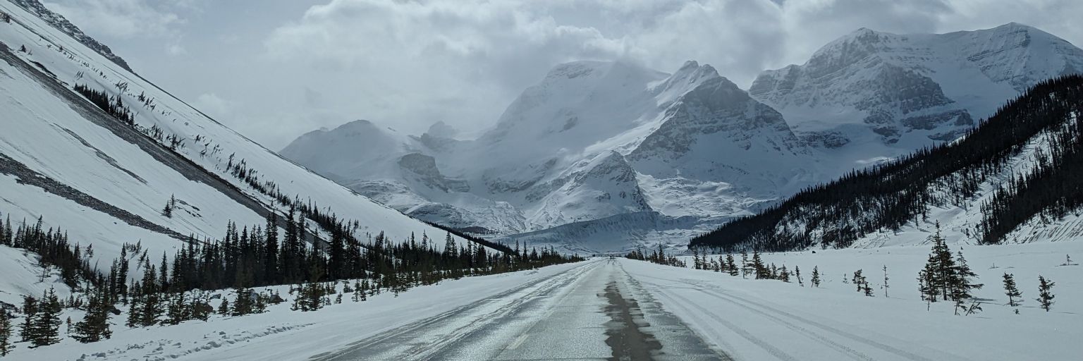 Colton Potter banner