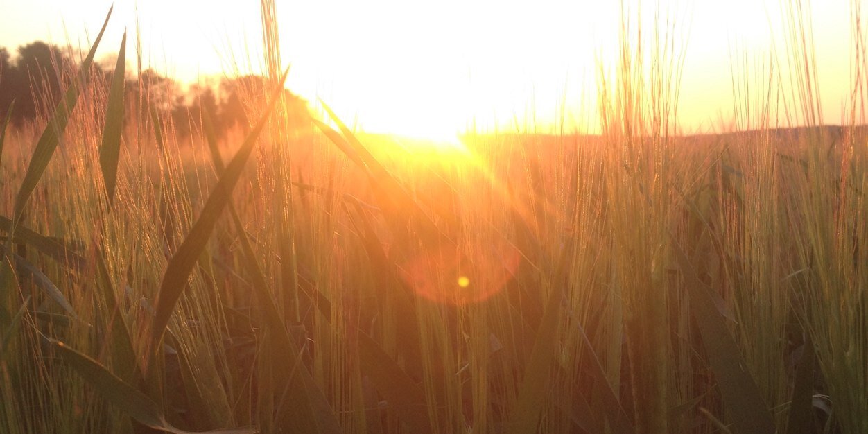 SimonChristians's profile banner image