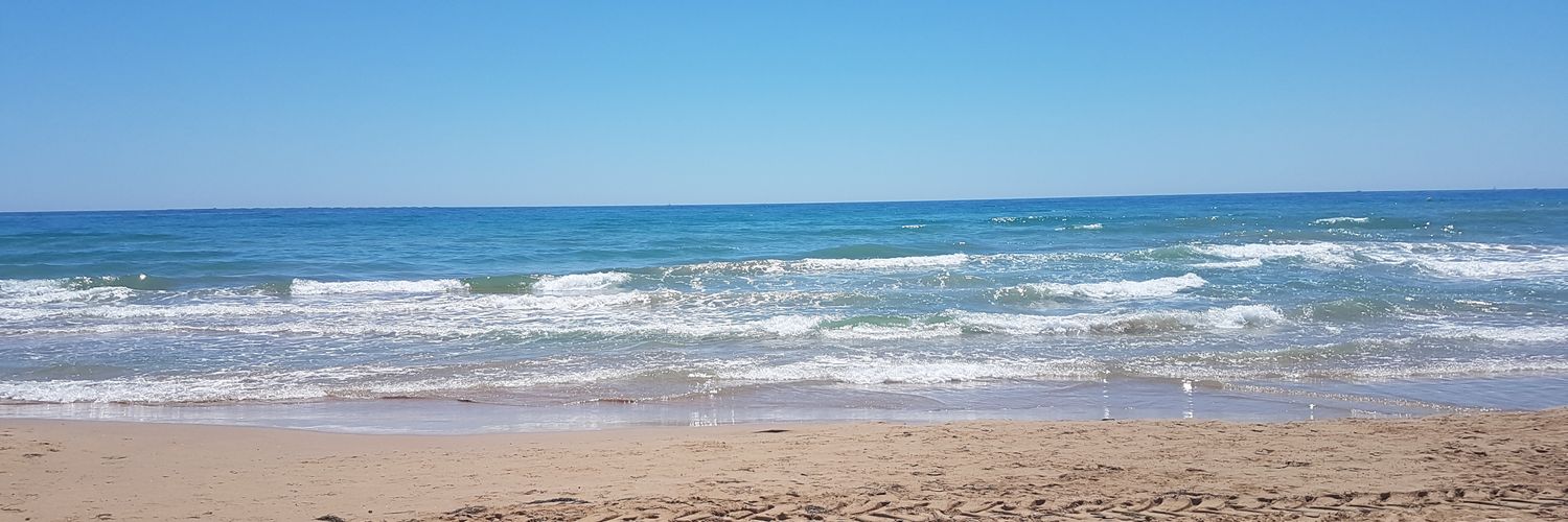 Manuel Palomar banner