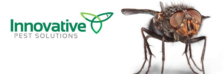 Innovative Pest (@InnovativePest1) / Posts / X