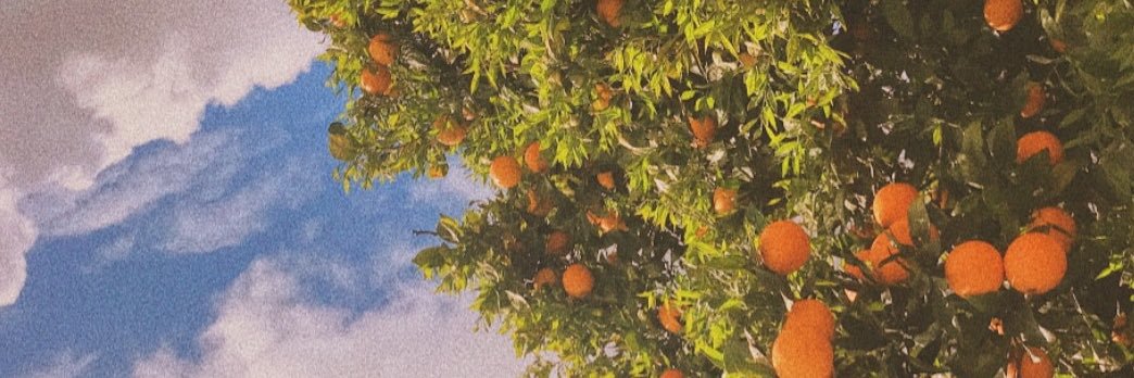 slongsocks's profile banner image