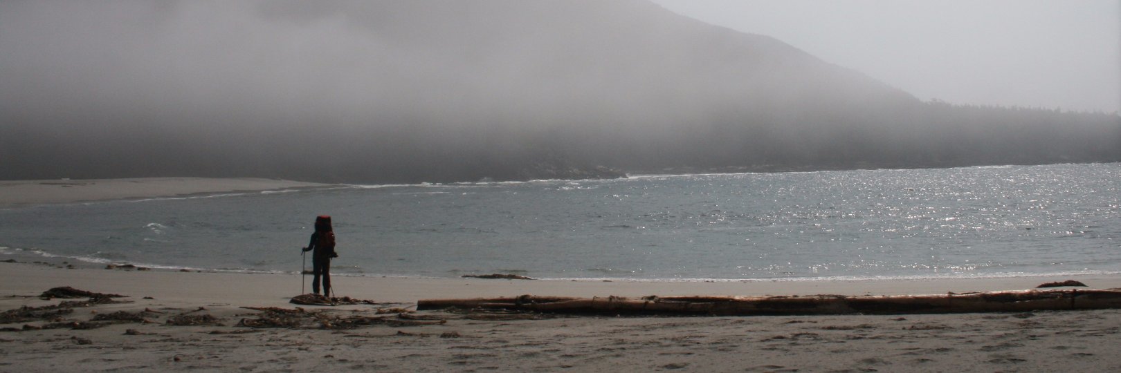 wildcoastmagazine banner