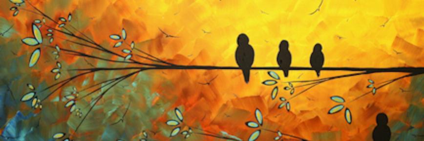 wren14701's profile banner image