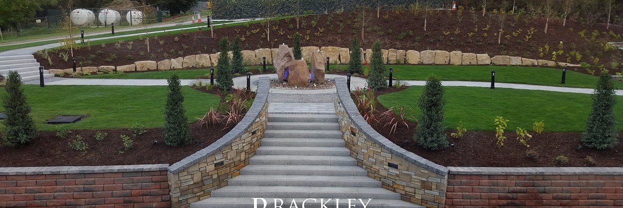 Brackleyscapes's profile banner image