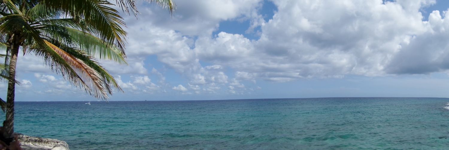 CarloXJCM's profile banner image