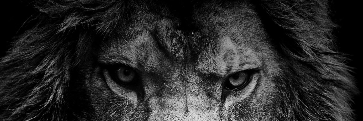 gumpmen's profile banner image
