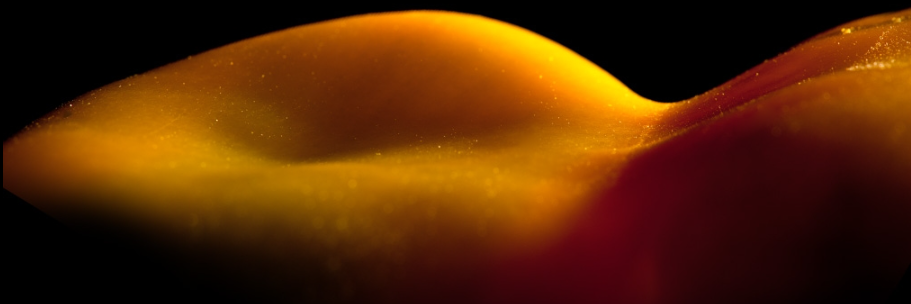 Wijnen Square Crops banner