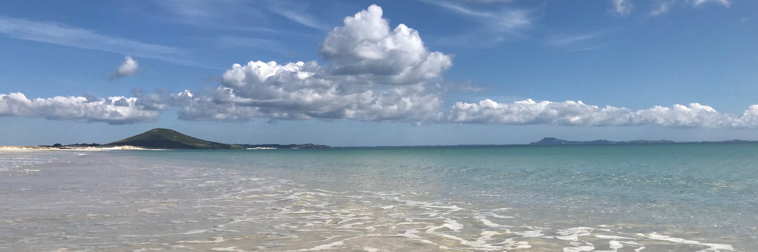 Rebecca Smith banner