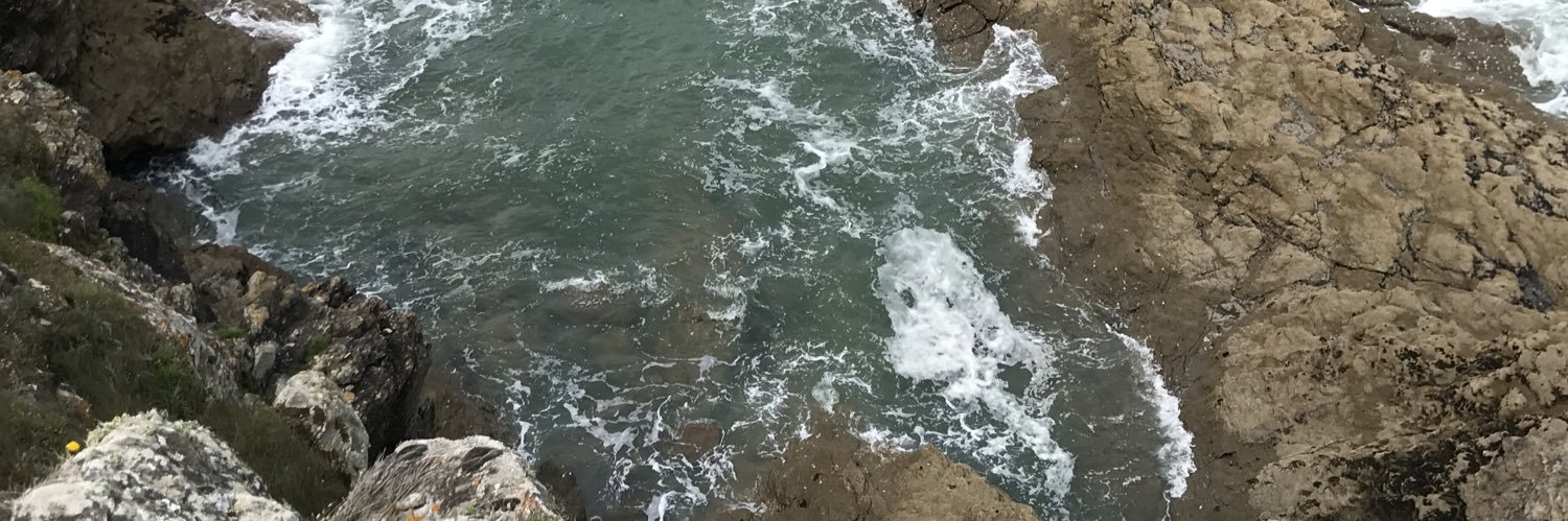 MosqueraLea's profile banner image
