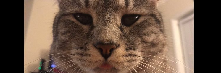 rissssa_'s profile banner image