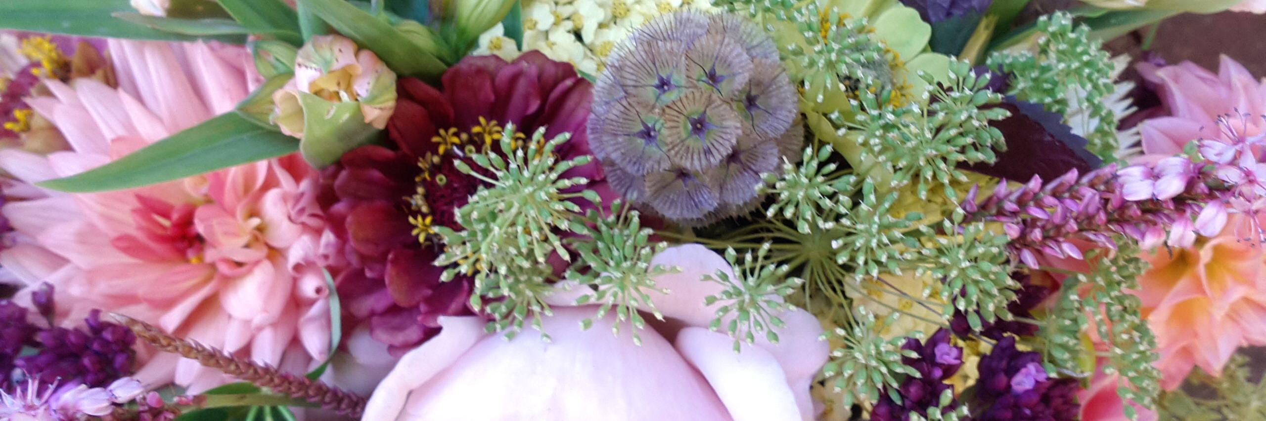 JaneFlowerjane's profile banner image