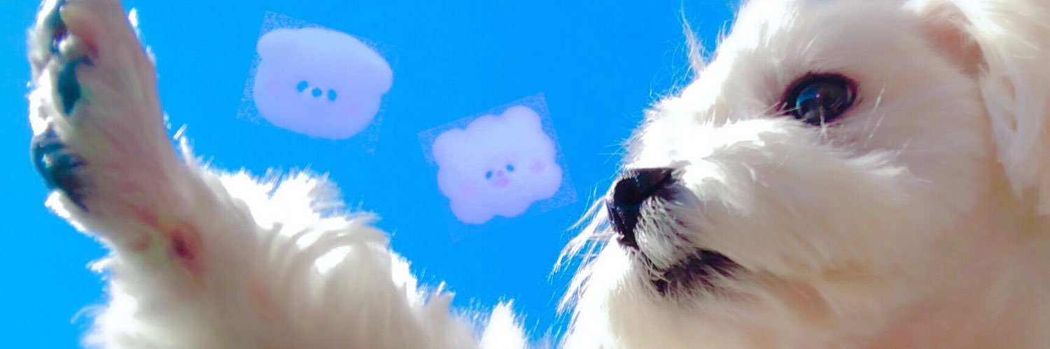 c_mofu_n's profile banner image