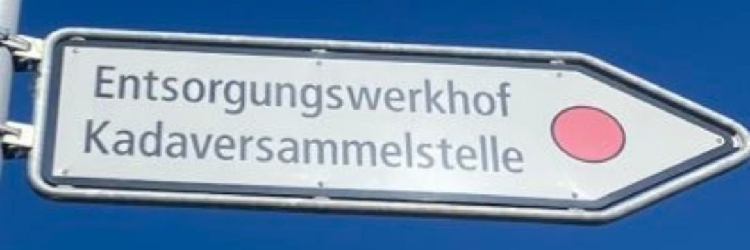 Santozz04's profile banner image
