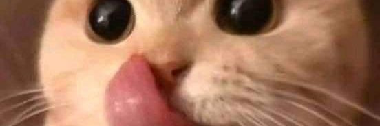 uncleoyibo's profile banner image