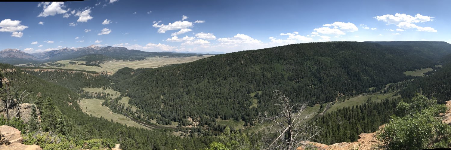 Brady Mulligan banner