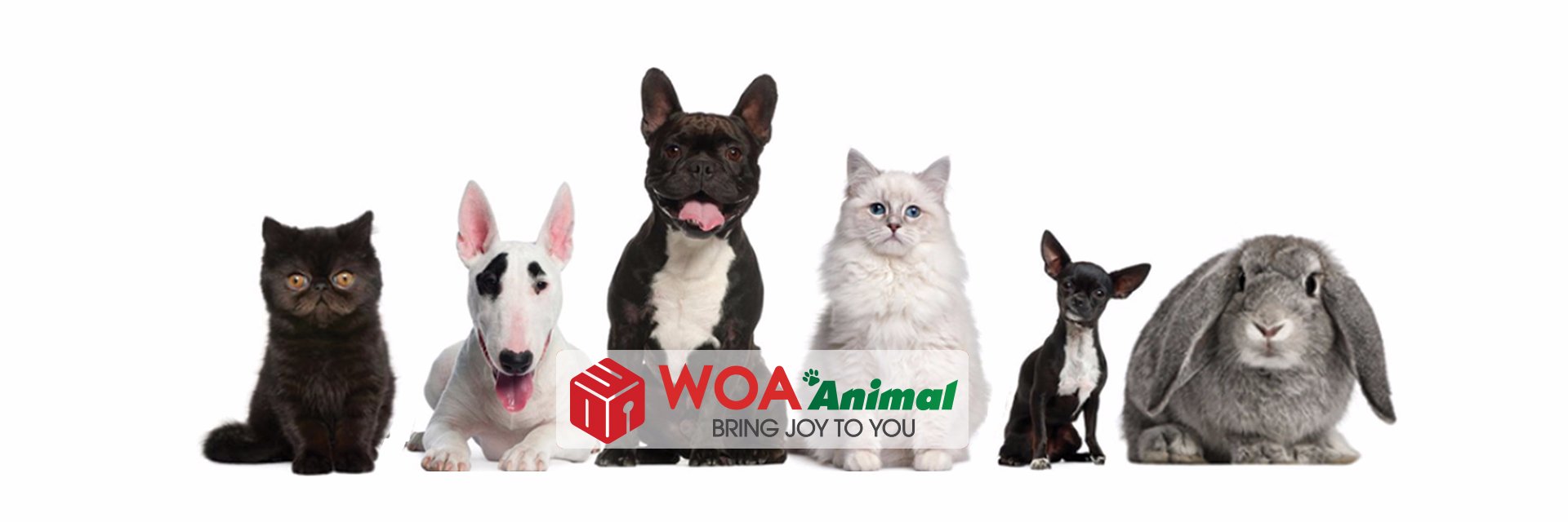 WoaAnimals's profile banner image