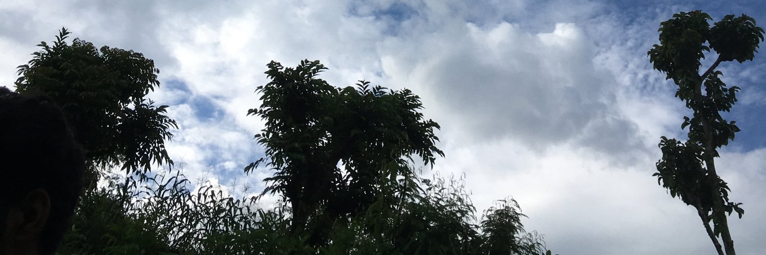 Roshantwari's profile banner image