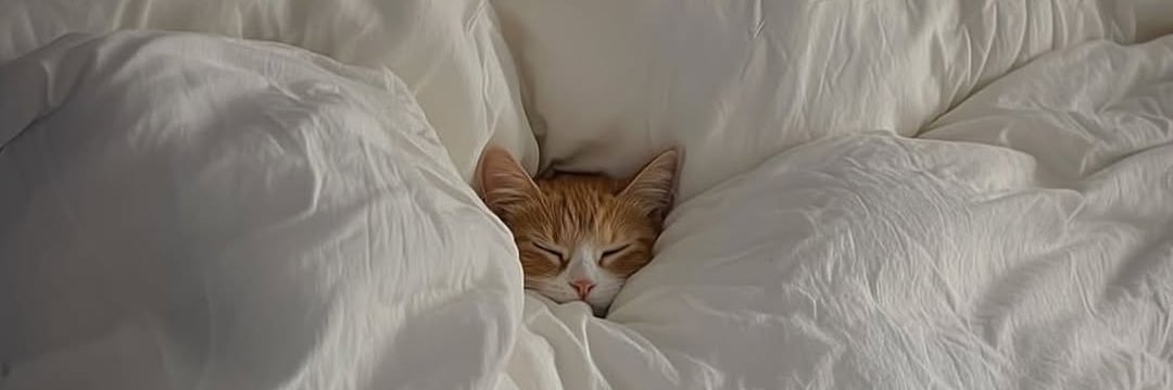 neon genesis evangEllieon banner